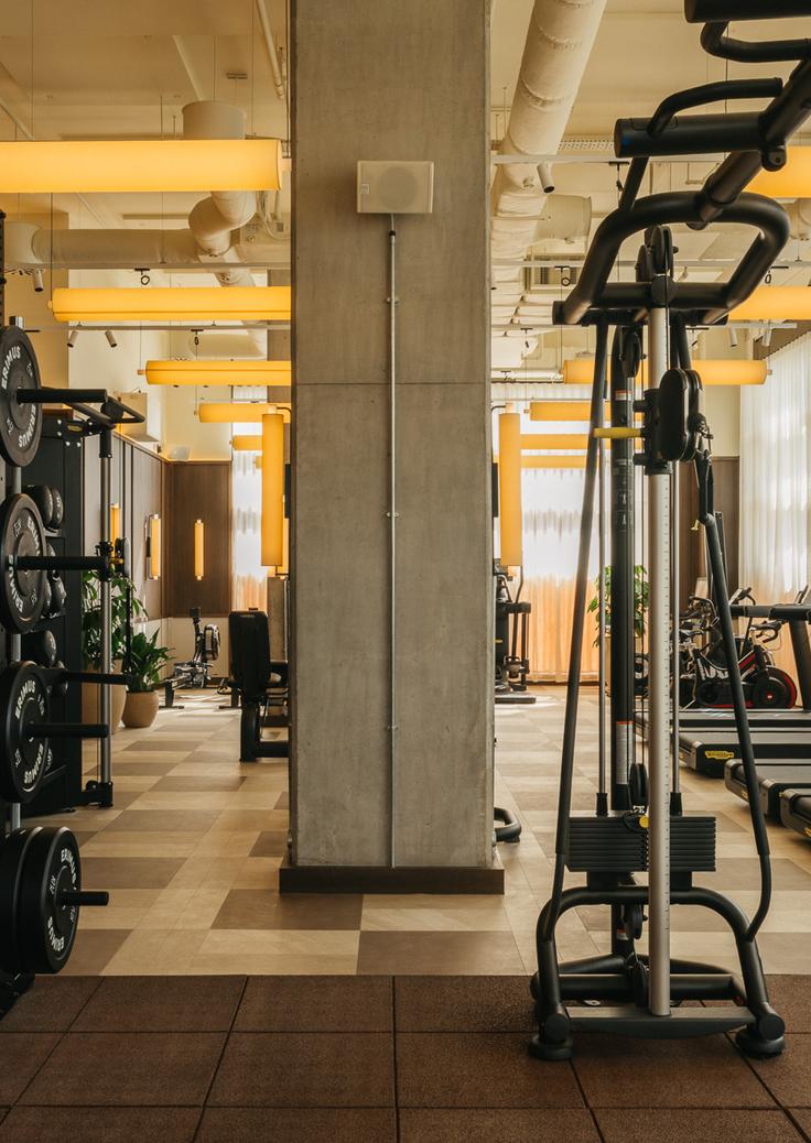 Image W O L. L C A. Gym. E C H.26 6
