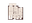Floorplan 1 of 1